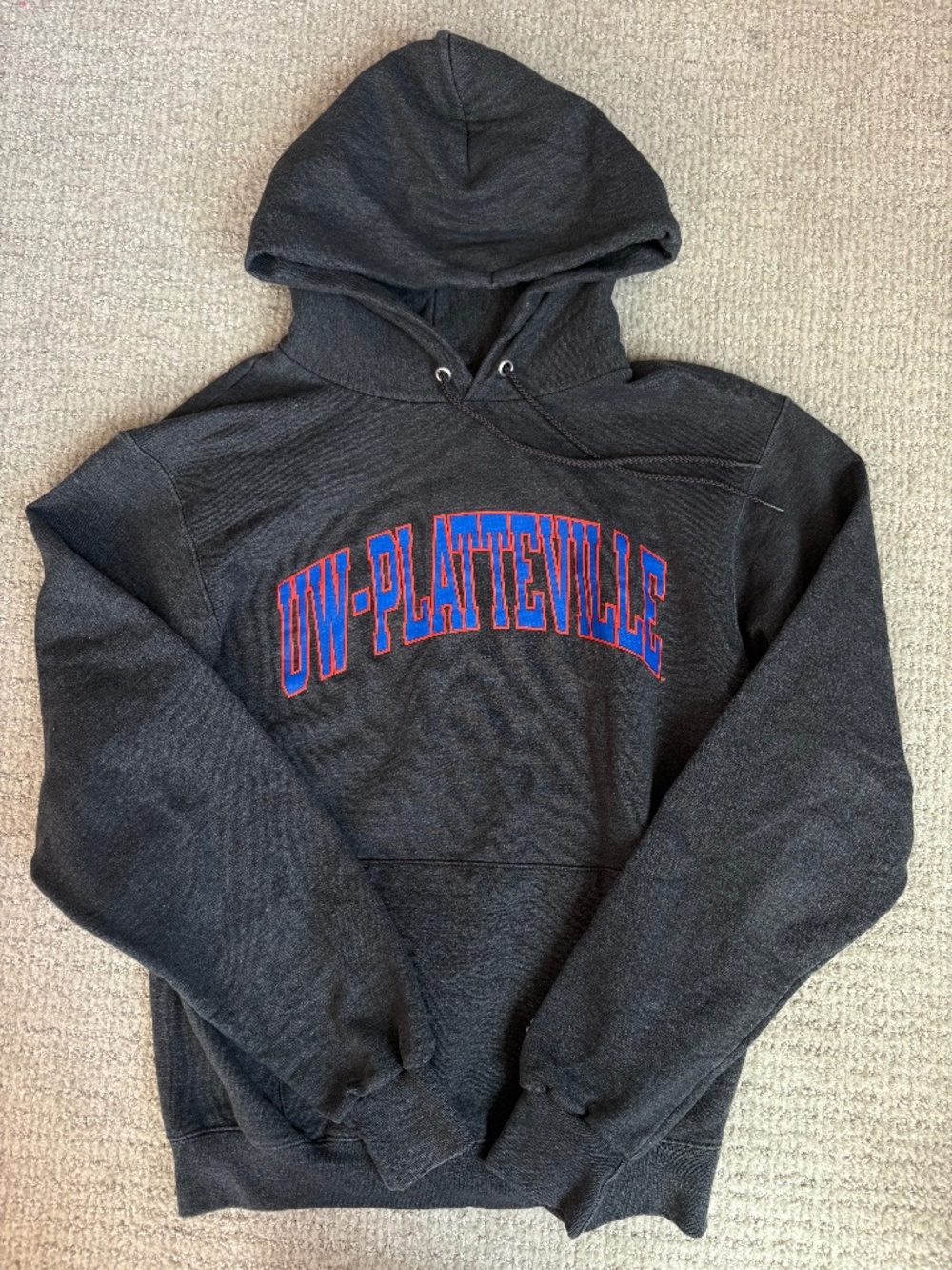 UW Platteville Champion Hoodie